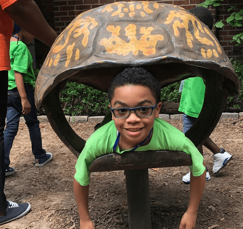 Child in a playground turtle shell