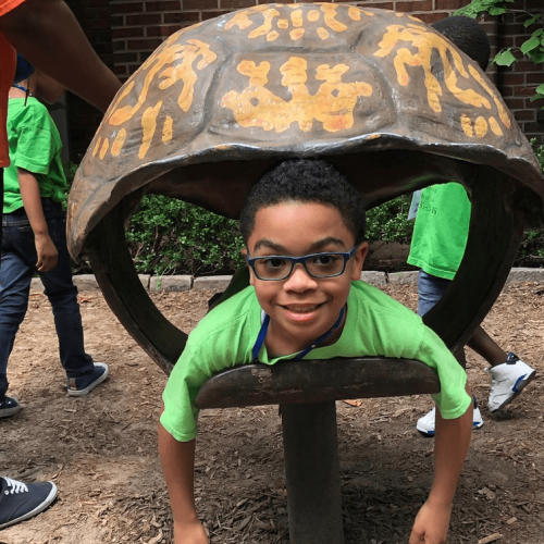 Child in a playground turtle shell